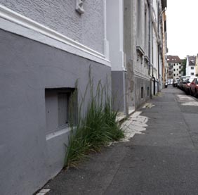 Grünes Gras an grauer Mauer.